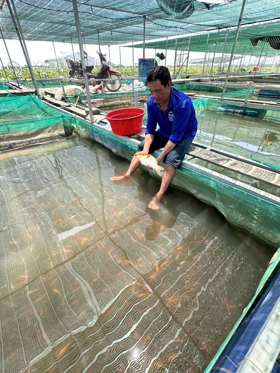 Trai ca giong Ba Cuong